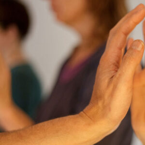 Cursoreiki ConscienciaInterna 300x300 - Carrito